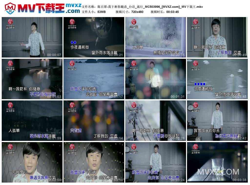 陈百潭-我干杯你随意_台语_流行_MC503996